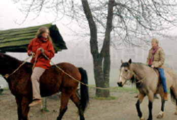 Hippothérapie à la Ferme équestre